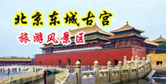日本大鸡巴操BB中国北京-东城古宫旅游风景区